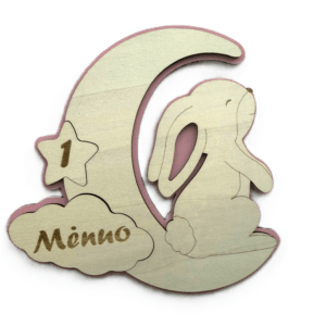 Mėnesių kortelės “Kiškutis”