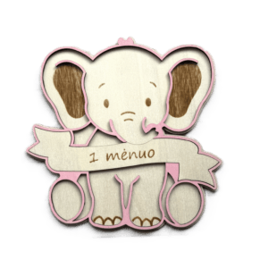 Mėnesių kortelės "Drambliukas"